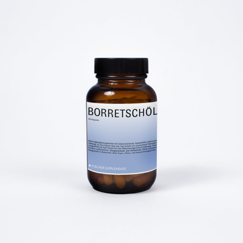 Borretschöl